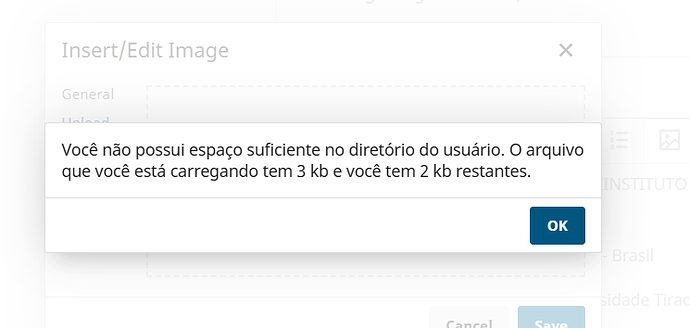 Captura de tela 2025-01-09 235027