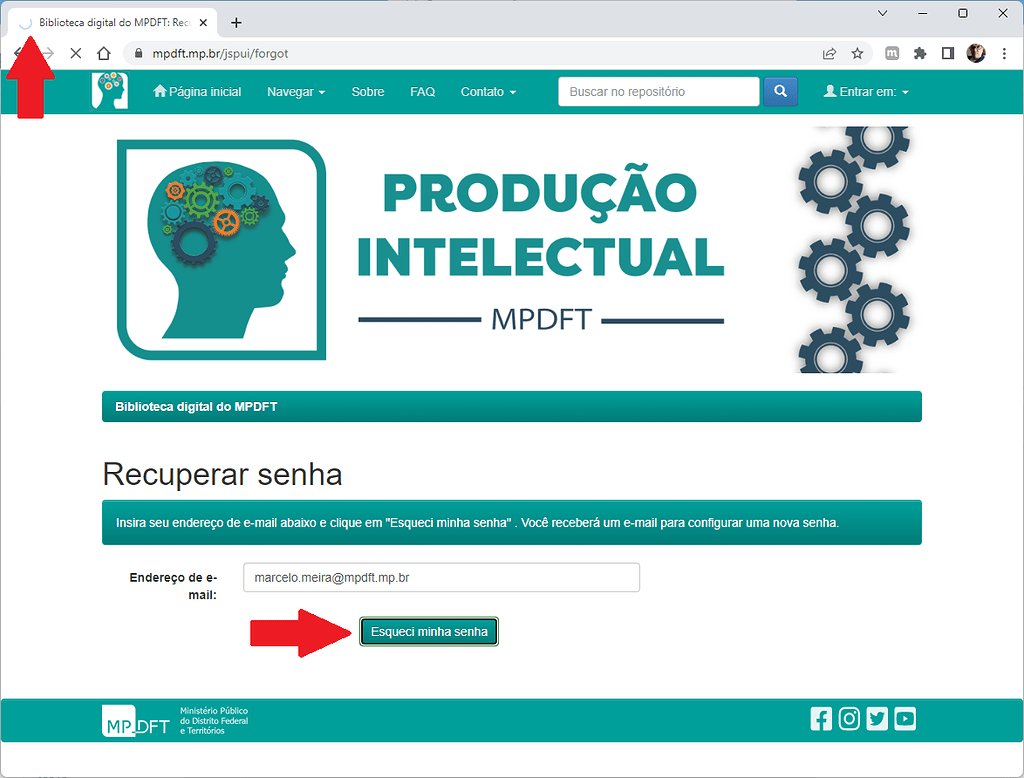 Falta de nome nos metadados - DSpace - Fórum do Instituto